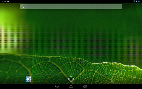 HomeScreen
