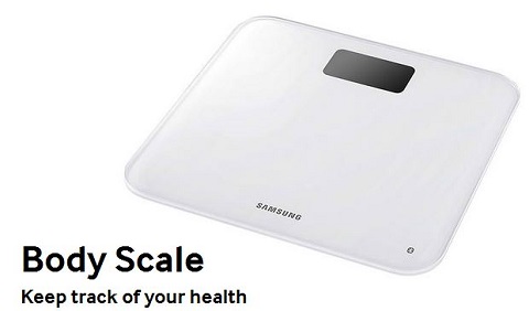 body scale