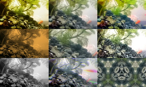 z1_picture effect