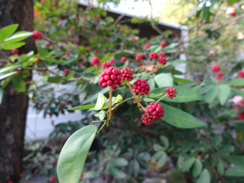qx10_sample_7
