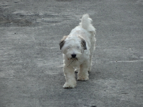 qx10_sample_9