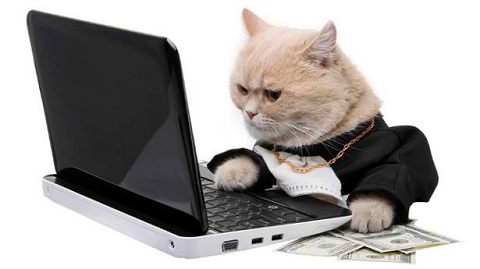 CyberCat