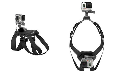 gopro-dog-harness