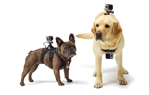 gopro-fetch