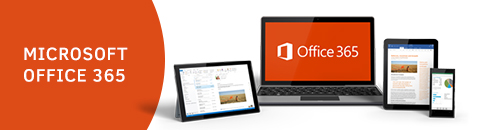 office365
