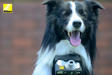 Nikon-Heartography-3