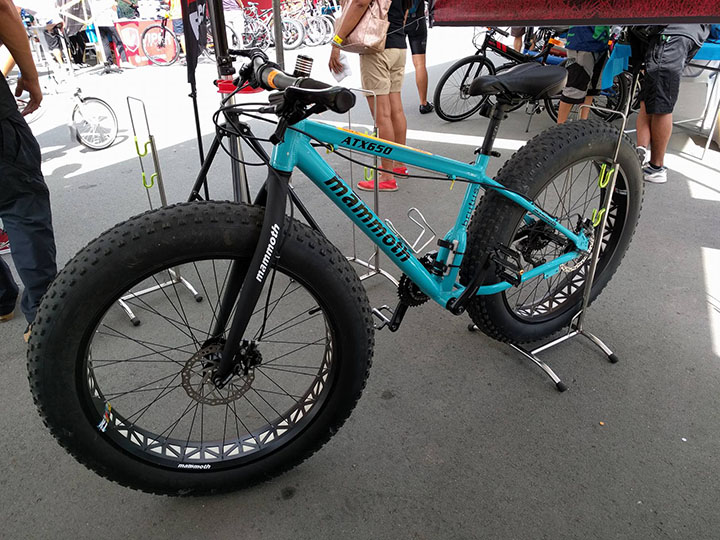 bike-demo-day-3