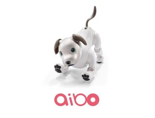 Sony outs aibo entertainment robot