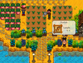 Stardew Valley officially gets multiplayer mode