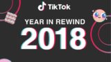 Tiktok Year In Rewind 2018 • Tiktok Outs Year In Rewind 2018