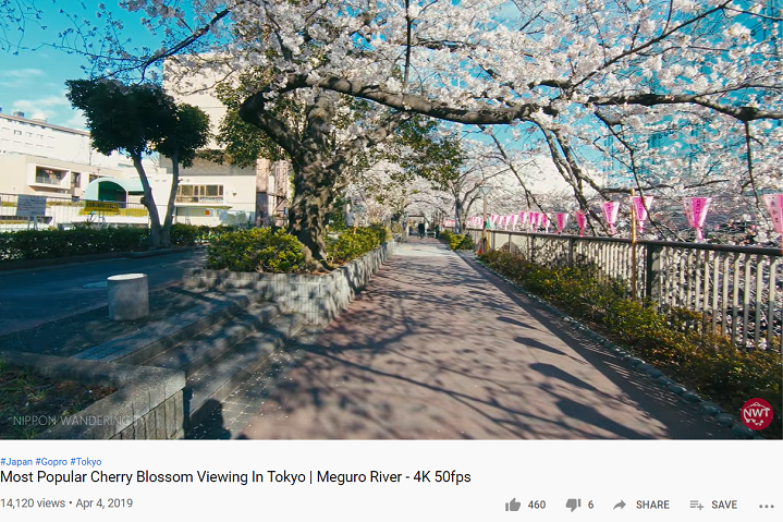 Nippon Wandering Tv • Youtube Channels To Follow For Outdoor Asmr Sounds