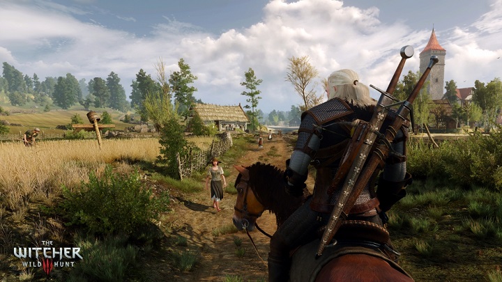 The Witcher 3 Landscape