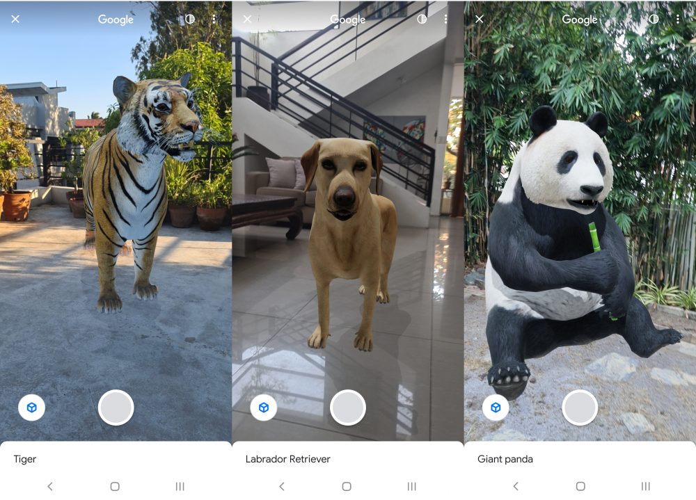 How To View Google 3D AR Animals on Your Smartphone