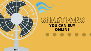 Smart fans you can buy online