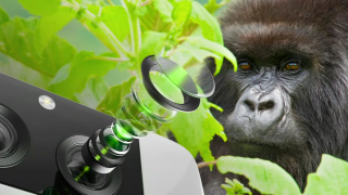 Corning unveils Gorilla Glass DX, Gorilla Glass DX+