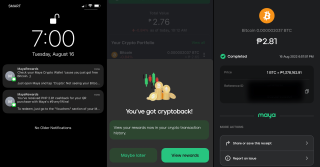 Maya Bitcoin Feature Image