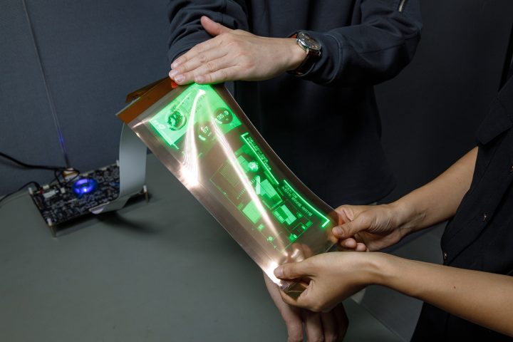 Lg Stretchable Display
