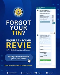 How to check your BIR TIN online