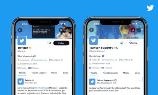 Twitter launches Twitter Blue for Business