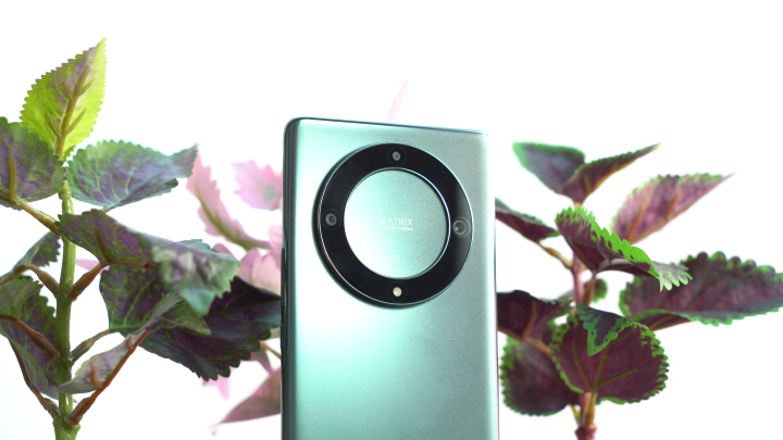 Vlcsnap 2023 02 01 17h04m46s988