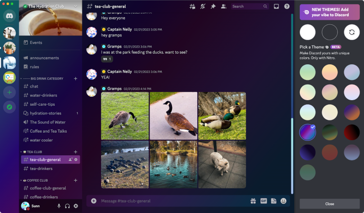 Discord Themes (2)