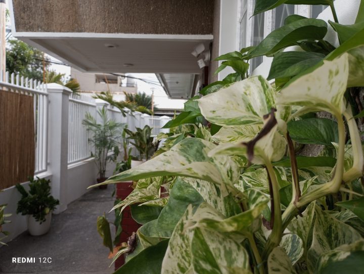 Redmi 12c Sample
