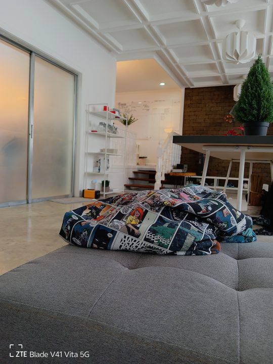 Zte Blade V41 Indoor