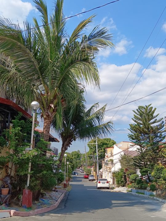 Zte Blade V41 Outdoor 2