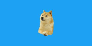 Twitter changes icon to Doge meme