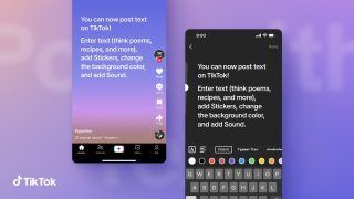 TikTok intros text-based posts