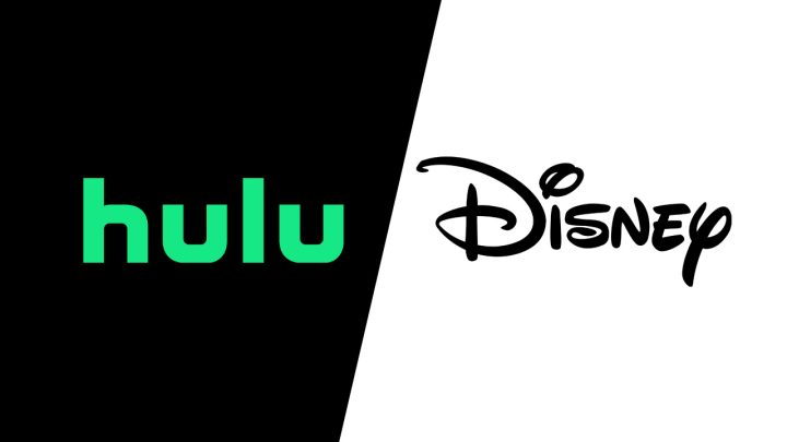 Disney Hulu Fi