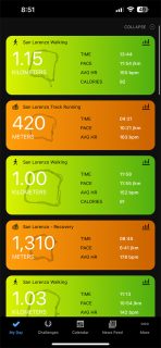 Garmin Run