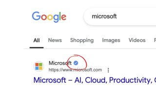 Google verified checkmarks are in development