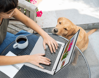 ASUS Debuts Vivobook 14 and 16 Copilot+ Laptops with AI-Powered Features