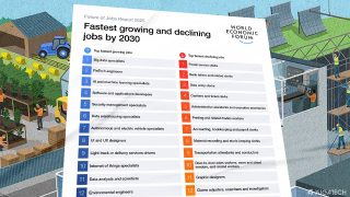 Study reveals the fastest growing and declining jobs by 2030 –WEF