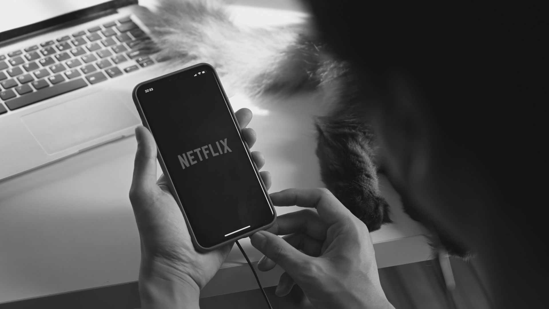 Netflix app no longer casting from phone to TV