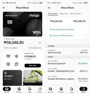 MAYA Black Mini-Payments Explained